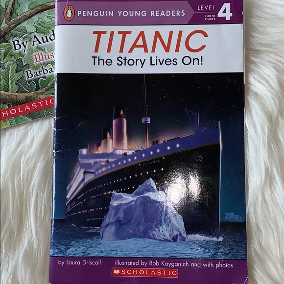 Level 4 reader set and math flash cards - Picture 3 of 7